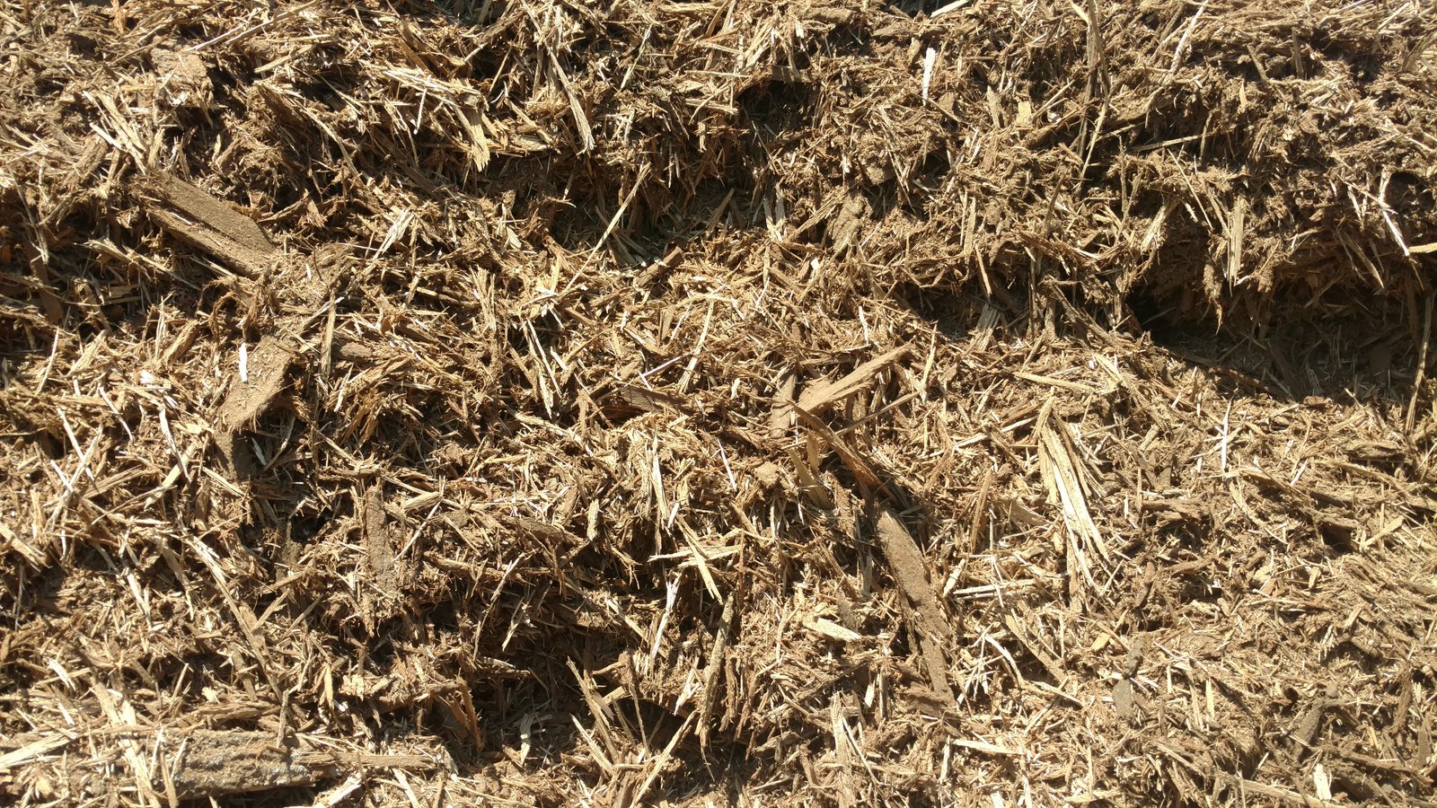 Bark Mulch