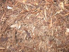White Cedar Bark Mulch